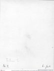 Historisches Foto (Rückseite) von Eodromites dobrogea (Feldmann, Lazar & Schweitzer, 2006) (NHMW-AFW-GEO-BACHMAYER-FOTO-1990-0041-0002)